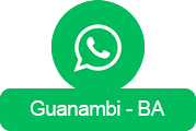 Fale Conosco pelo WhatsApp